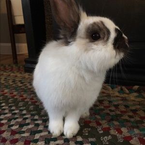 Meet your Posher, Brielle